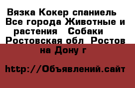 Вязка Кокер спаниель - Все города Животные и растения » Собаки   . Ростовская обл.,Ростов-на-Дону г.